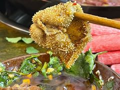 -黄潇洒老火锅(九眼桥宏济巷店)