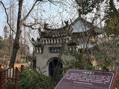 -习家池