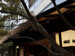 -麻雀咖啡SPARROW COFFEE(十全街店)