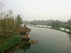 三道堰-三道苗苗鱼(三道堰老字号店)