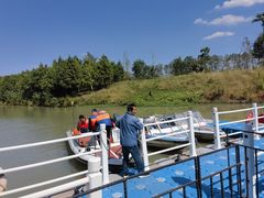 -合肥滨湖国家森林公园