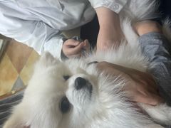 -北京佳信宠物医院