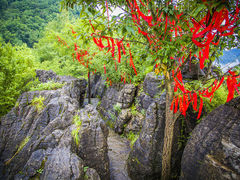 -蝶舞清江·恩施云顶景区(黄鹤峰林)