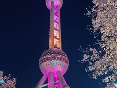 -东方明珠广播电视塔