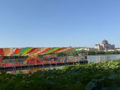 -莲花池公园