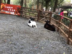 -宁波野生动物园