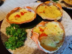 -松子日式料理(东朝阳路店)