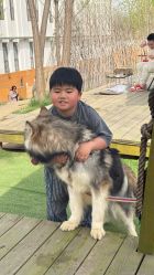 -268童话露营农场·烧烤·团建