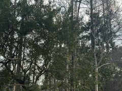 -徐家汇源景区-衡山公园