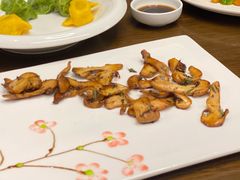 -枣子树·素食餐厅(朱家尖店)