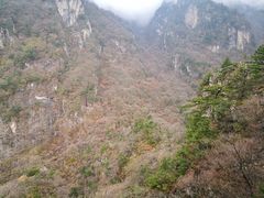 -牛背梁国家森林公园