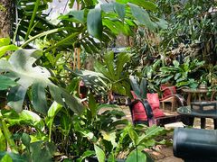 -Fern Forest Cafe