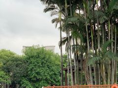 -荔湾湖公园