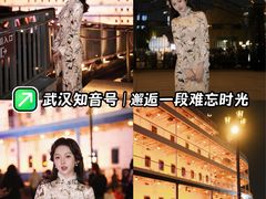 -武汉知音号