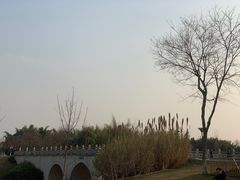 -眉山湿地公园(东坡区)