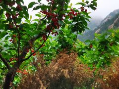 -崂山九水游览区