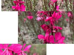 -白鹭湾湿地公园