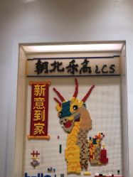 -乐高授权专卖店(朝阳大悦城店)