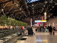 -谢列梅捷沃国际机场