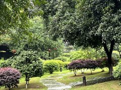 -泸州老窖景区