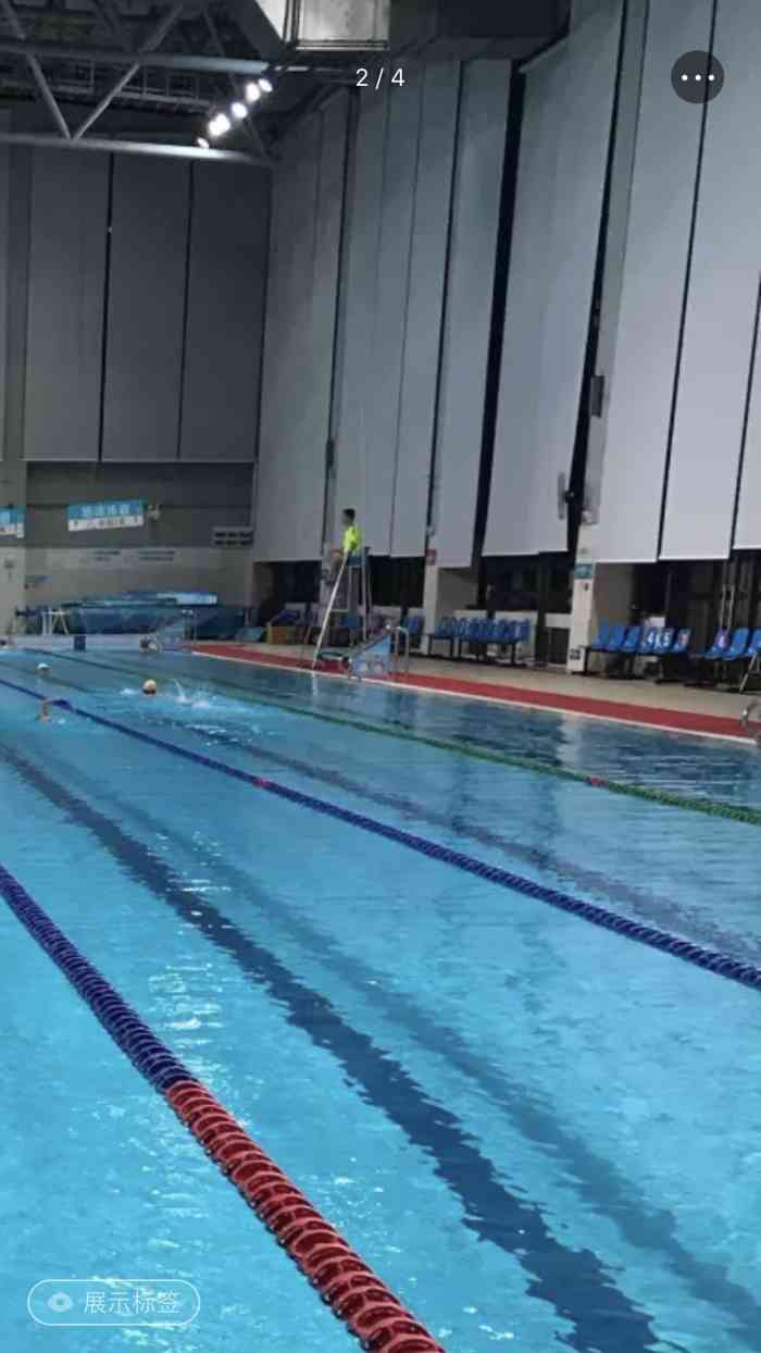 武汉体育中心游泳馆图片