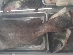 -潮信鱼头王(西环店)