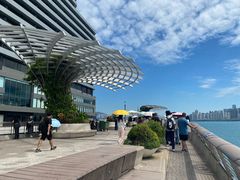 -星光大道