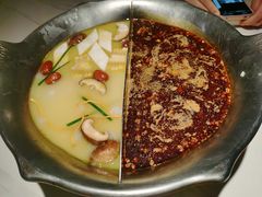 -九鼎轩脆毛肚火锅(三钢里店)