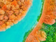 -贡湖湾湿地公园