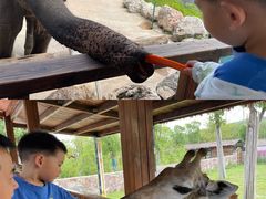 -南京汤山紫清湖生态旅游温泉度假区