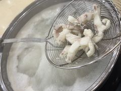 -源港渔村-中山脆肉鲩(博罗店)