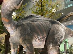 -湖南省地质博物馆