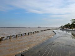 -上海长兴岛郊野公园