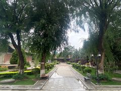 -张掖大佛寺景区