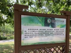 -御林古桑园