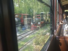 -合肥滨湖国家森林公园