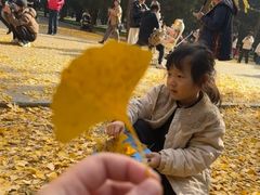 -蓝莓果幼儿园(通州梨园店)