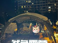 -远洋未来汇