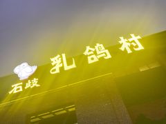 -石岐乳鸽村(南海第三分店)