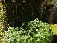 -临江宴餐厅·桐庐菜(富春江店)