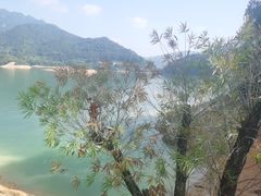 -广州市流溪河国家森林公园