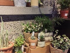-思南书局(复兴中路店)