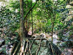 -七仙岭温泉国家森林公园