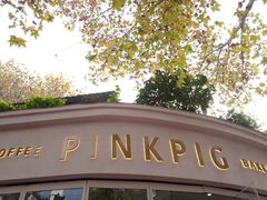 -WHEN PIGS FLY当猪飞