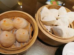-岭南小生·粤港点心(南门口店)