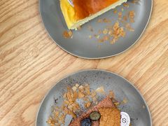 -Infica Coffee