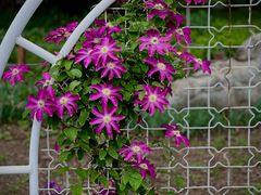 -国家植物园南园