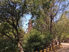 -大雁山风景区