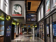 -万达影城(金平万达广场IMAX店)