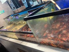 -遇上西雅图多融合海鲜自助餐厅(中房金谊广场店)